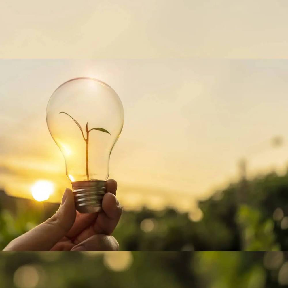 Energy Conservation Efforts