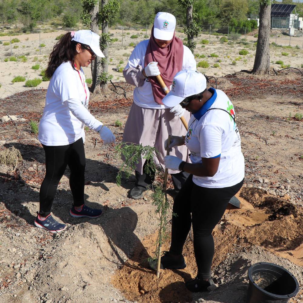 Tree and Flower Planting