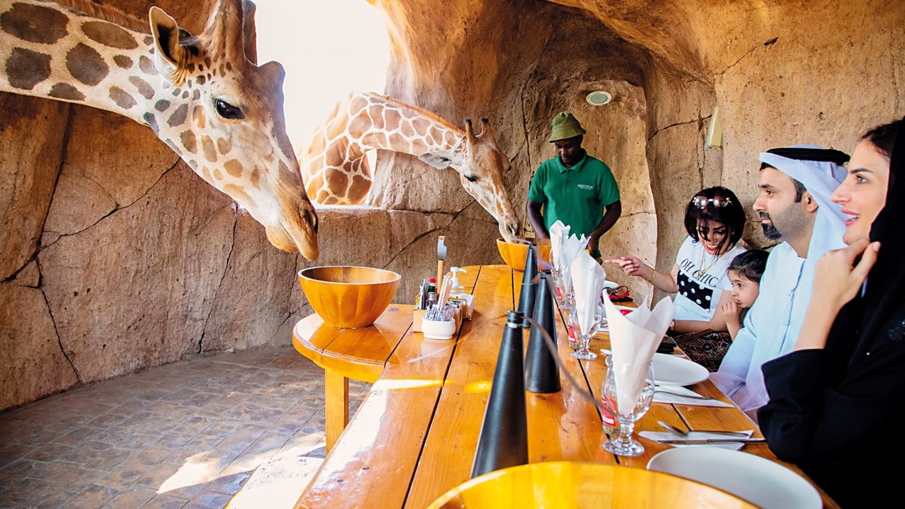 مهرجان الشتاء.. جوائز واحتفالات