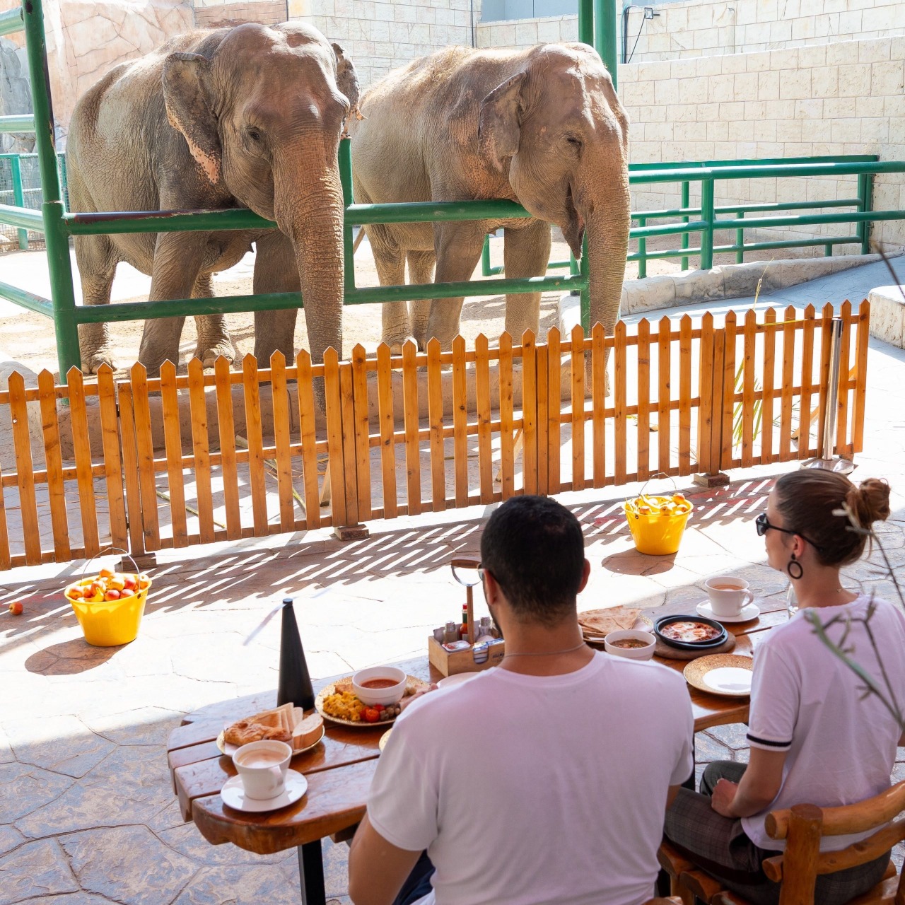 Breakfast with Elephants