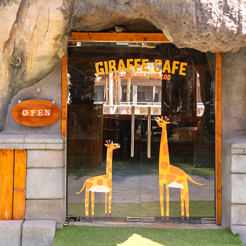 Coffee with Giraffes 