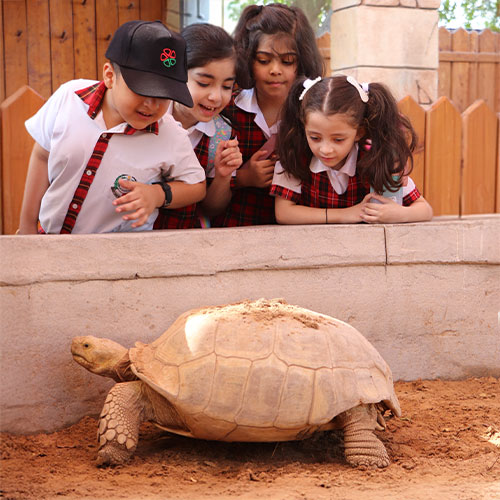 School Trip Packages