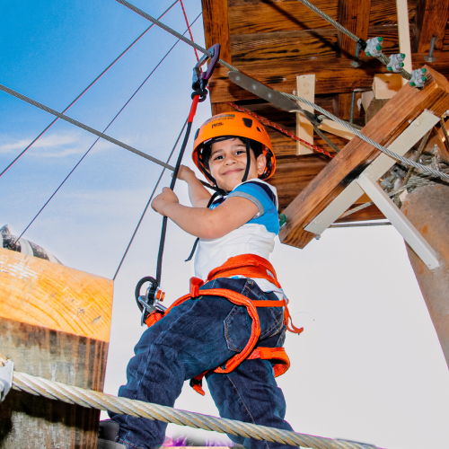 Zoo Zip & Climb – Adventure Above the Wild!